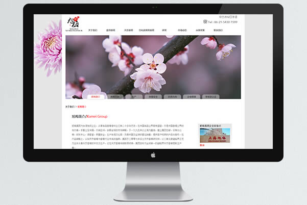 html5վƹ˾